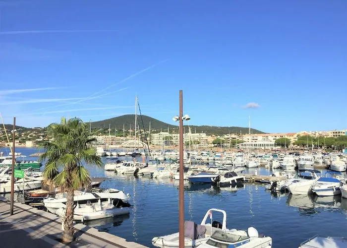 Les Pins Ensoleilles-6 By Interhome Apartment *