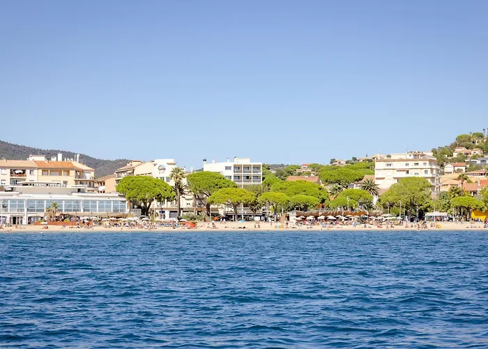 Appartement Les Pins Ensoleilles-6 By Interhome